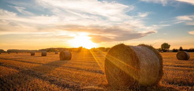 Hay bale